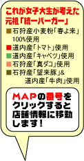 いしかりバーガー