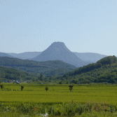 黄金山（こがねやま）