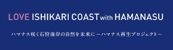 石狩浜ハマナス再生プロジェクト