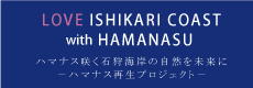 石狩浜ハマナス再生プロジェクト