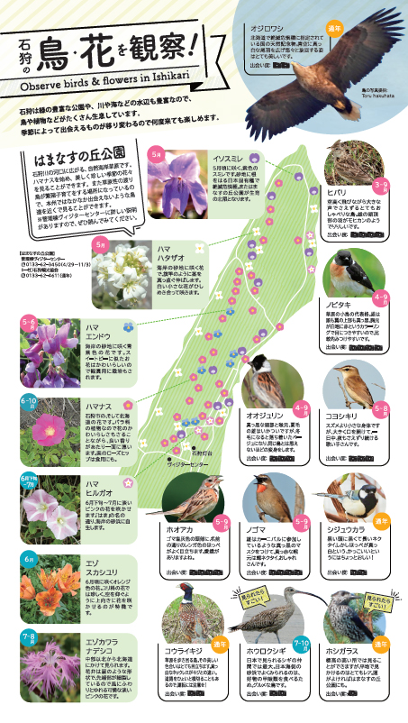 マクンベツ湿原周辺MAP