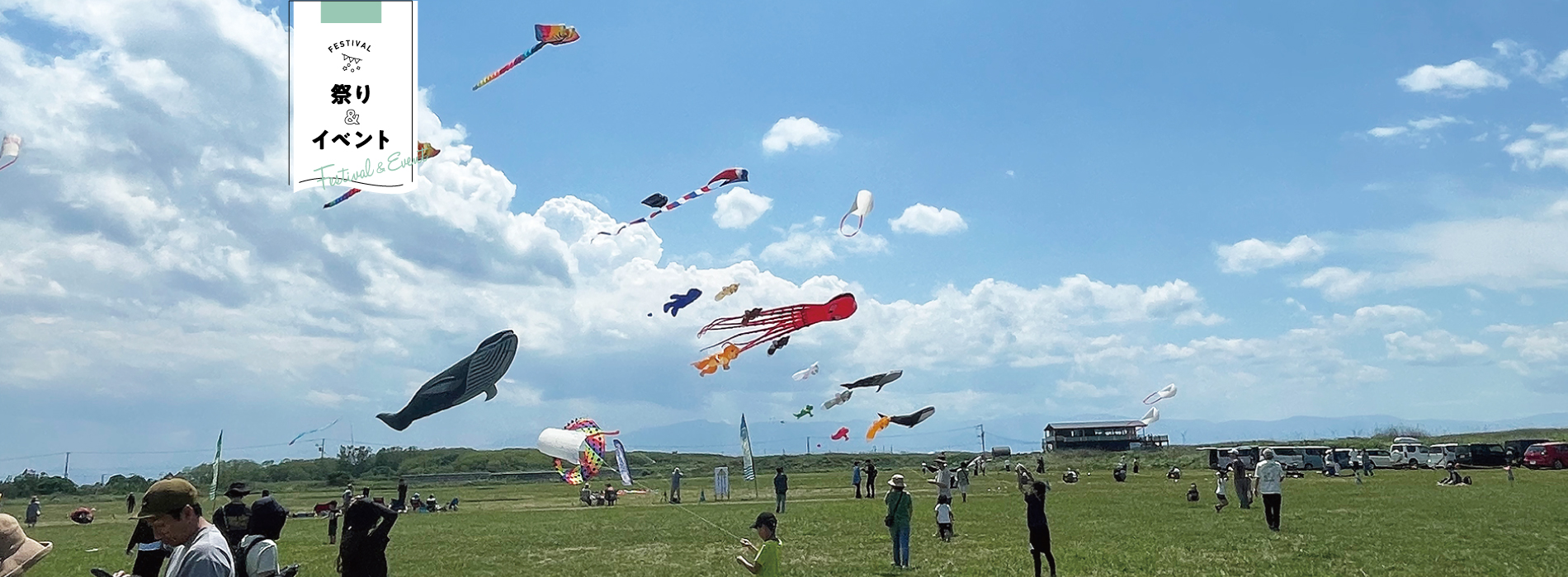 いしかり本町 灯台とハマナスDAY