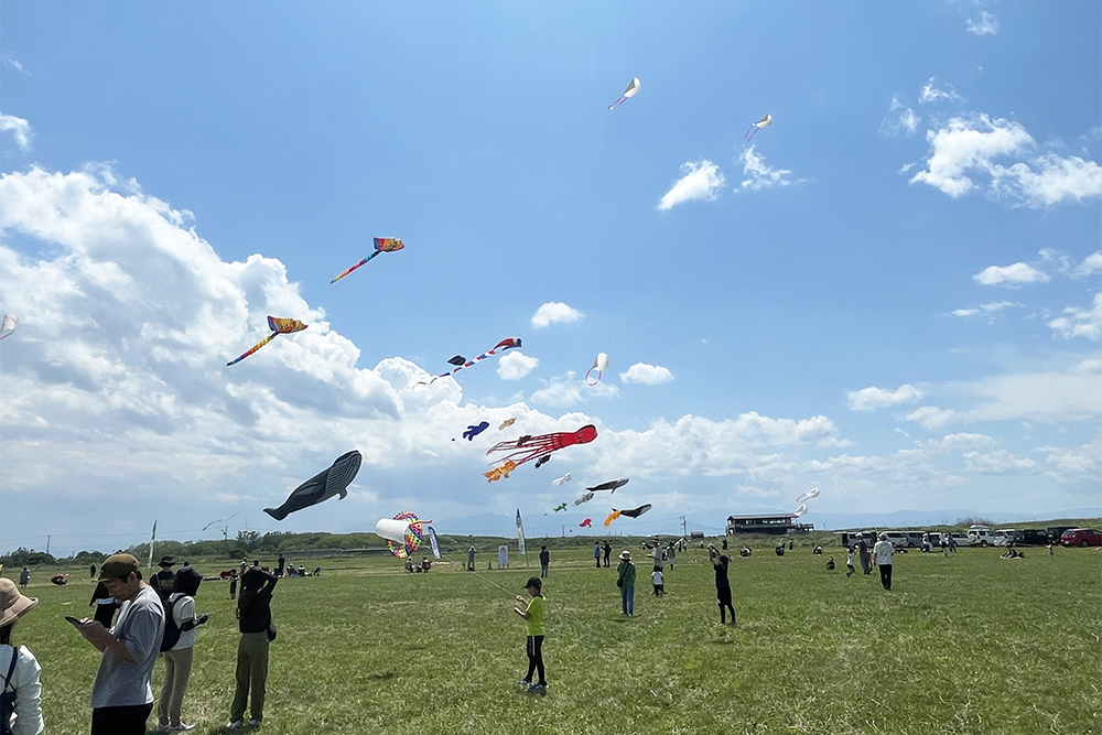 石狩本町 灯台とハマナスDAY